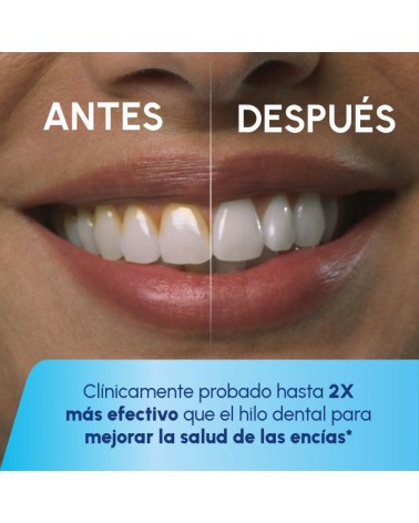 Waterpik Boquilla Plaque Seeker PS-100E 2 und